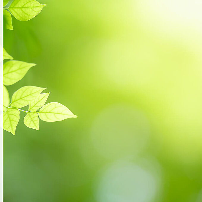 Service de documents justificatifs de REGUPOL